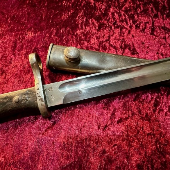 Chilean Bayonet 6